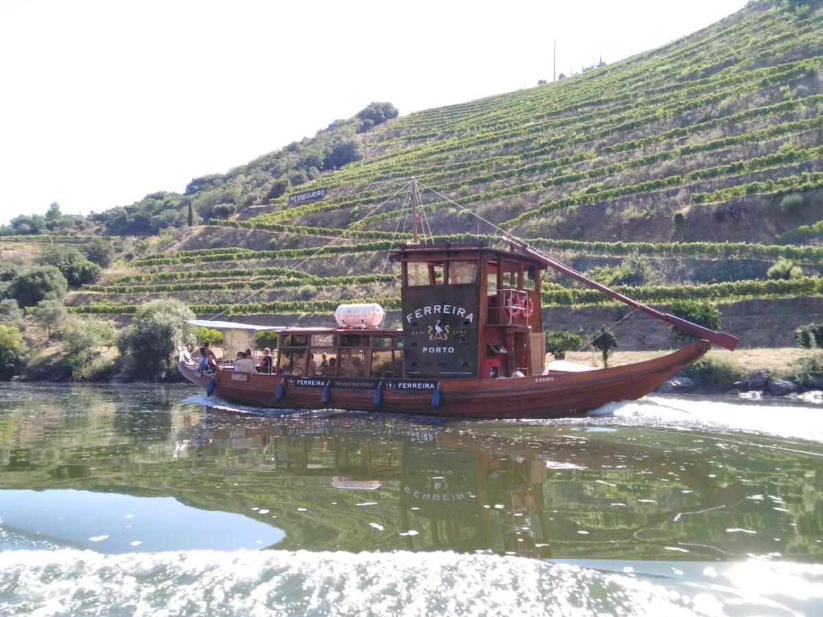 فيلا Casal de Loivosفي Casa Do Jornaleiro - Douro - Quinta Da Cabrida المظهر الخارجي الصورة