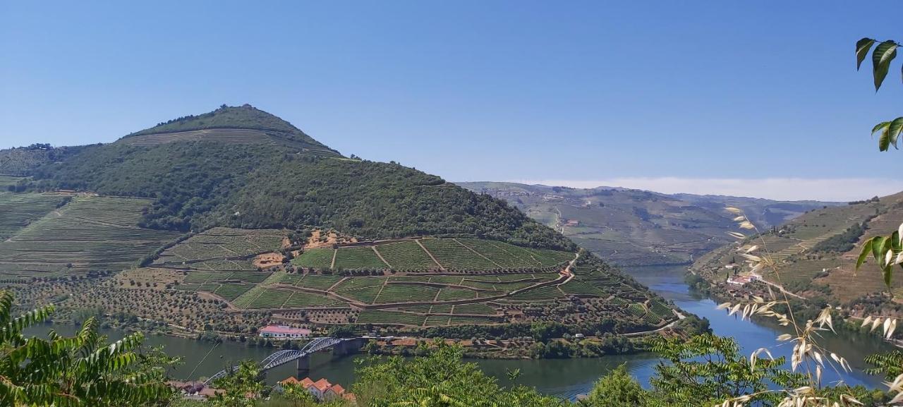 فيلا Casal de Loivosفي Casa Do Jornaleiro - Douro - Quinta Da Cabrida المظهر الخارجي الصورة