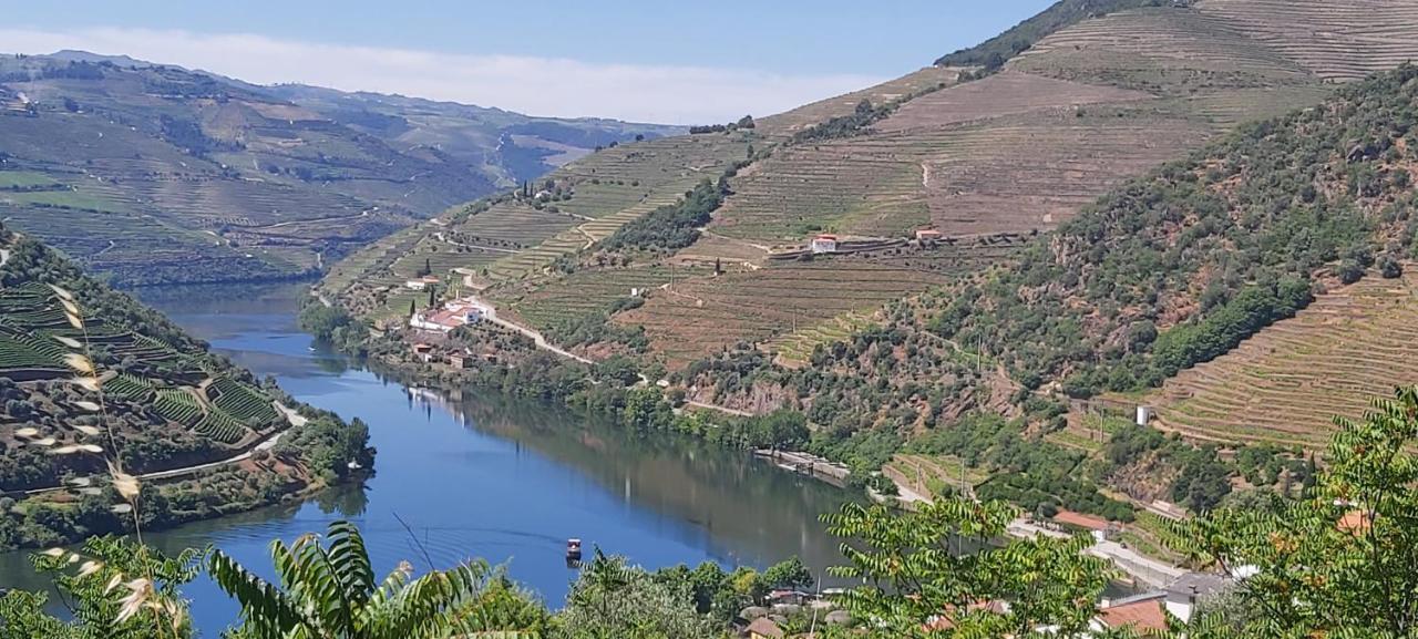 فيلا Casal de Loivosفي Casa Do Jornaleiro - Douro - Quinta Da Cabrida المظهر الخارجي الصورة